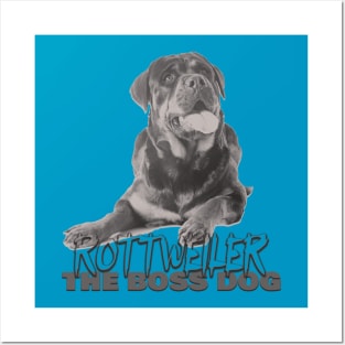 Rottweiler the boss dog Posters and Art